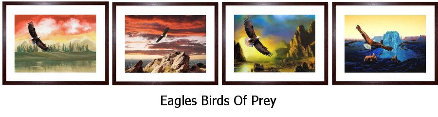 Eagles Framed Prints